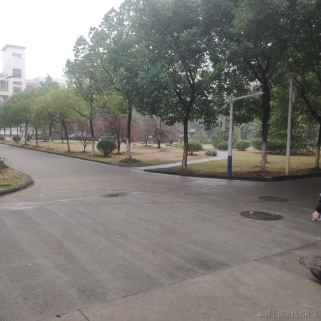 Diana_cat于2022-11-17 17:00发布的图片