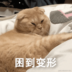 一休哥是我于2021-12-02 21:00发布的图片