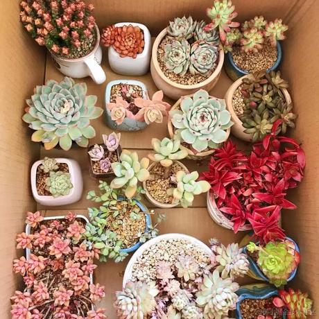 汽水味的小盆友于2022-11-24 16:46发布的图片