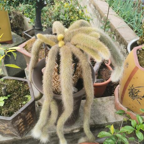 托马斯穆勒于2022-12-09 00:33发布的图片