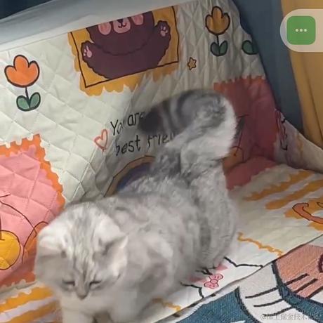 First于2023-05-16 18:58发布的图片