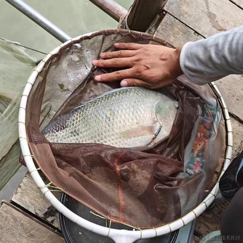 土豆泥丶于2023-10-13 17:40发布的图片