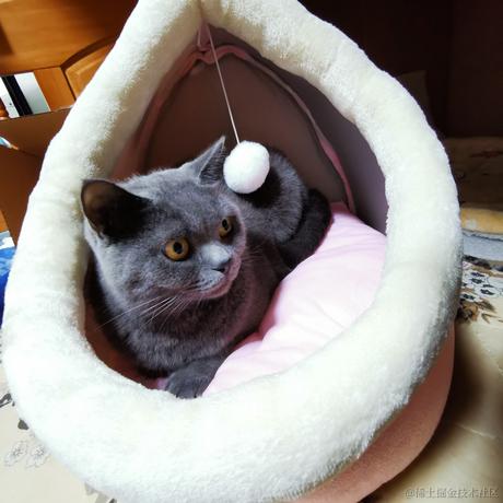 CatWatermelon于2022-12-08 13:37发布的图片