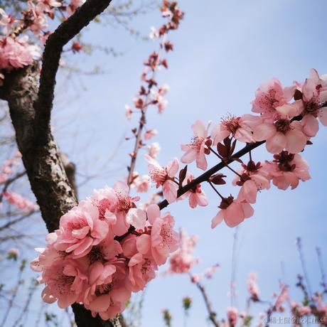 吃个桃子于2023-04-12 20:29发布的图片