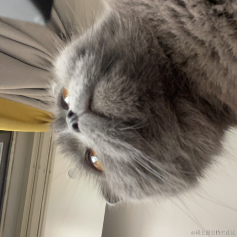 我是个靓崽于2023-04-27 22:29发布的图片