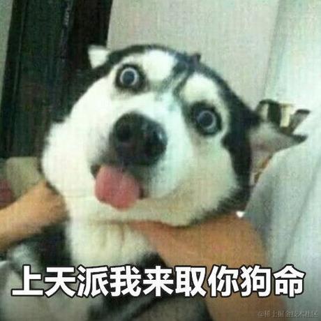 Dillon于2023-02-13 18:09发布的图片