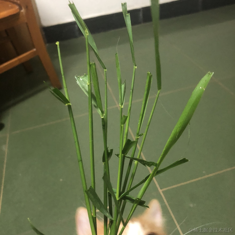 haiweilian于2024-05-09 19:22发布的图片