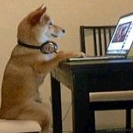 有出路于2022-02-14 12:49发布的图片