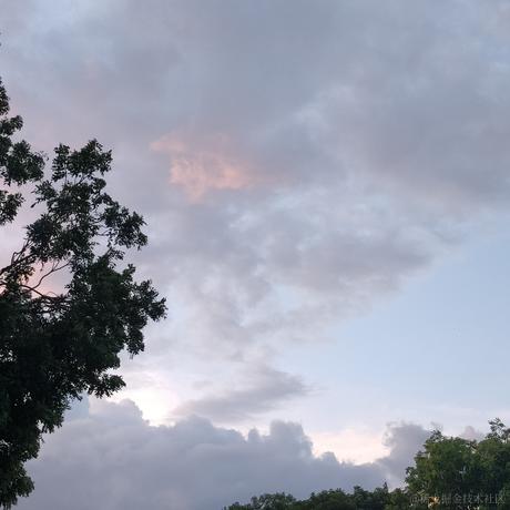 hoppou于2023-06-28 19:04发布的图片