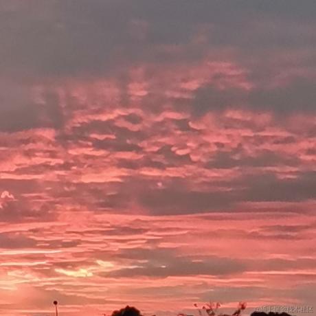 福石于2022-11-19 11:15发布的图片