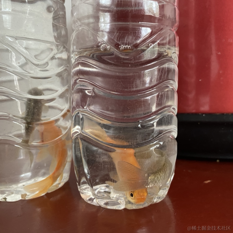 无敌小怪兽于2023-01-19 11:26发布的图片