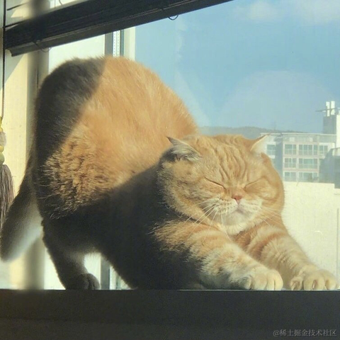 没有昵称gg于2021-04-30 10:56发布的图片