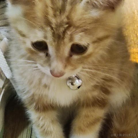 糯香香普洱于2022-11-27 10:40发布的图片