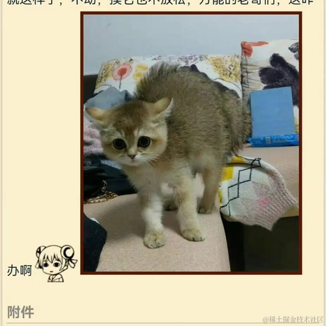 魔童闹海于2022-02-11 08:50发布的图片