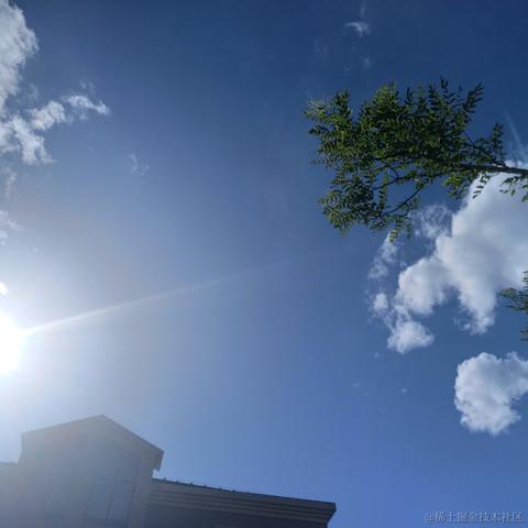 月亮小饼干于2021-05-01 22:39发布的图片