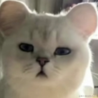 看乐子的乐子人于2023-02-15 15:39发布的图片