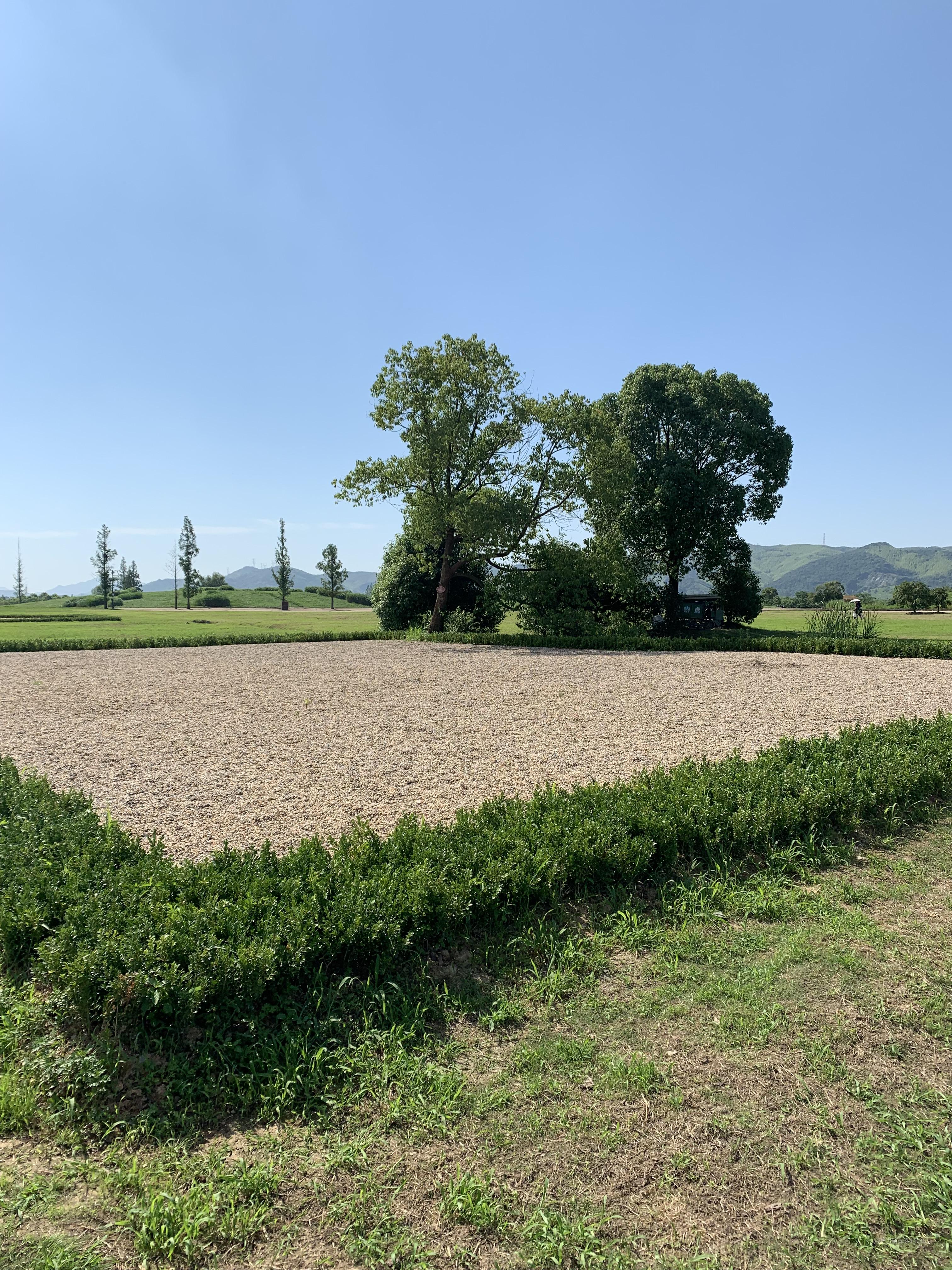 云原生存储-GlusterFS