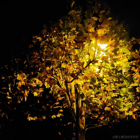 一木1于2022-12-22 14:57发布的图片