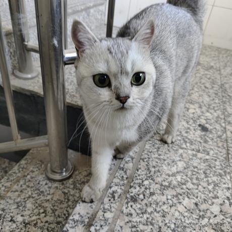 早濑真爱于2023-06-25 11:16发布的图片