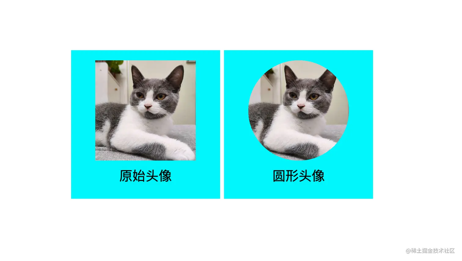 cocos圆形头像案例