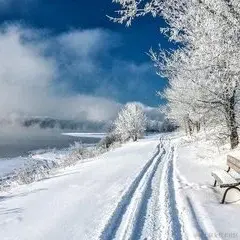 证果果于2022-12-06 08:16发布的图片