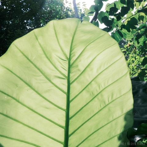 null爱学习58679于2022-10-26 08:54发布的图片