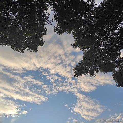 高能信息学学徒于2022-11-16 22:53发布的图片