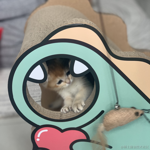 小蝴蝶于2021-12-24 17:49发布的图片