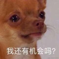 前端劝退师于2020-08-12 13:29发布的图片