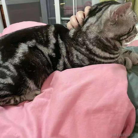 雪碧女孩于2021-04-09 09:45发布的图片