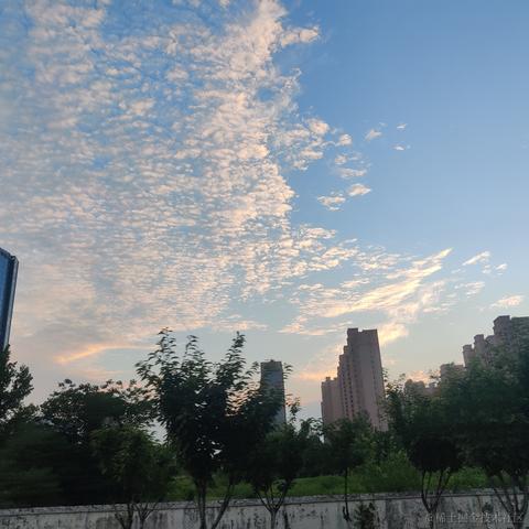 __Petrichor于2024-06-03 10:15发布的图片