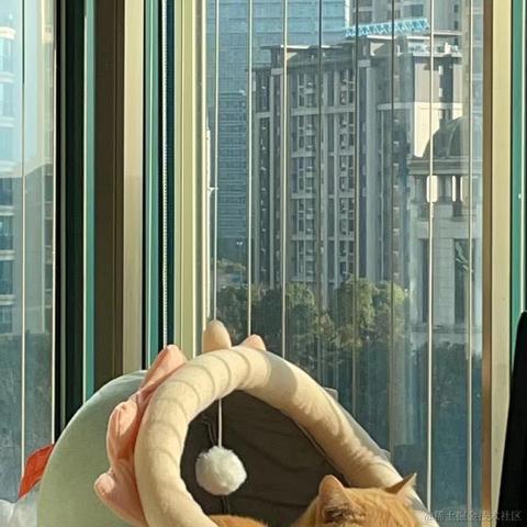 勇敢阿鱼于2023-01-04 13:45发布的图片