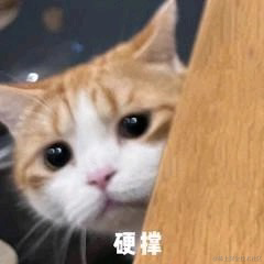 布鲁布鲁社畜于2023-06-28 13:56发布的图片