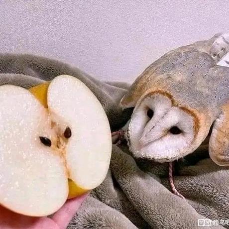 我自横刀向天笑于2022-12-06 09:48发布的图片