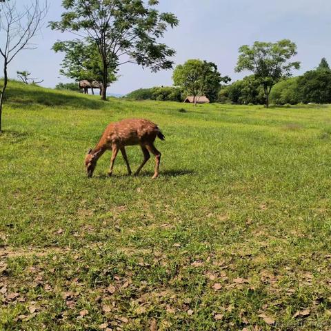 onetwo于2023-05-13 20:28发布的图片