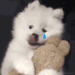 不明鲨鱼袭击于2022-11-23 12:06发布的图片