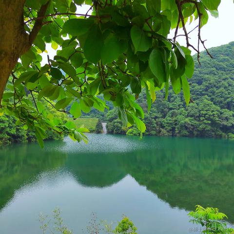 Sarah_于2024-05-08 10:28发布的图片