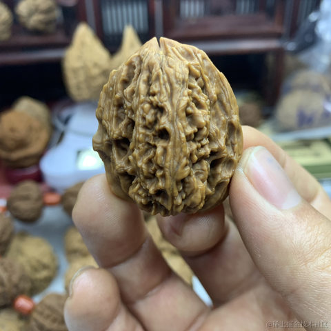 篮采核于2023-02-12 00:57发布的图片