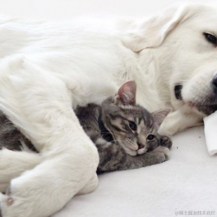 今天你吃饱了吗于2021-11-22 11:18发布的图片