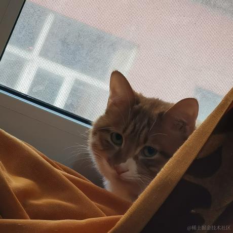 柒弎于2022-12-11 18:39发布的图片