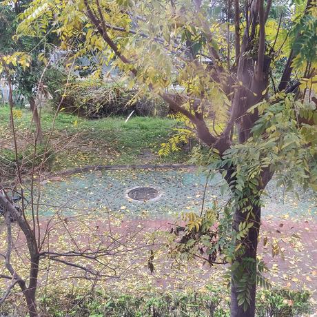 琦玉的杰诺斯于2022-11-28 13:03发布的图片