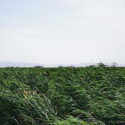 moreThan于2021-07-18 23:59发布的图片