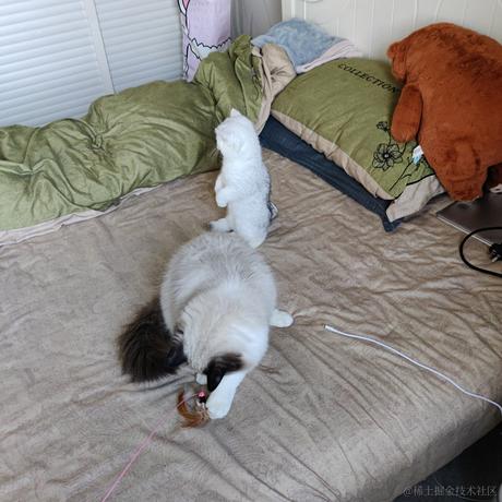 First于2023-05-17 07:57发布的图片