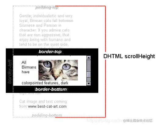 widthHeightScroll.png