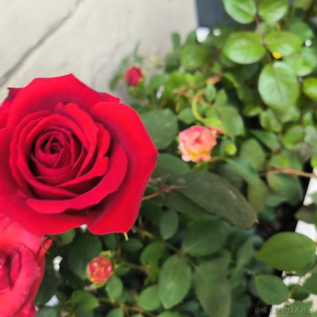 NoelYan于2023-04-14 22:38发布的图片