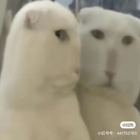 婉婉啊于2023-06-02 15:59发布的图片