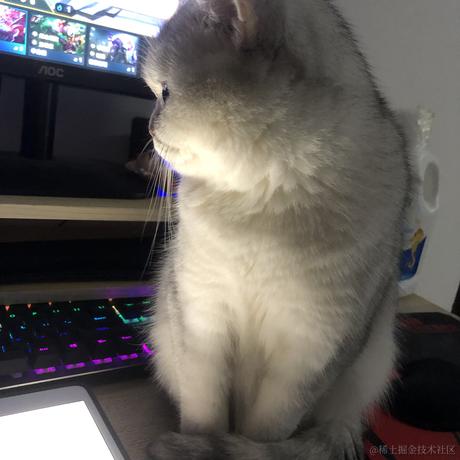 独一无二的昵称于2021-11-19 15:42发布的图片