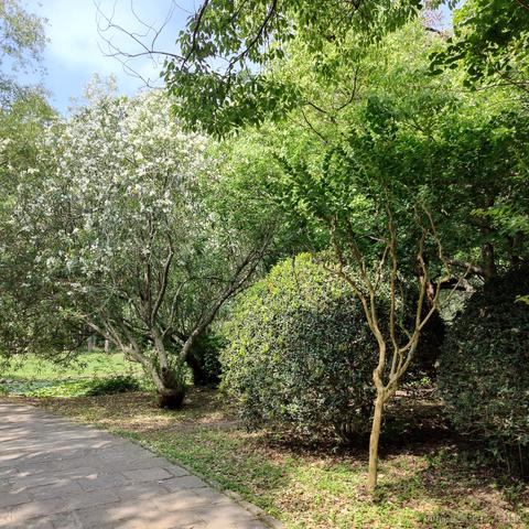 吃鱼徐于2023-06-04 18:33发布的图片