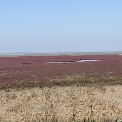 此间橘子于2023-07-07 07:27发布的图片