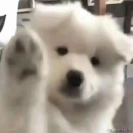 JellyfishX于2023-06-19 09:54发布的图片